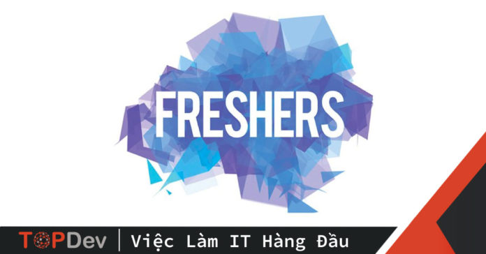 fresher-la-gi