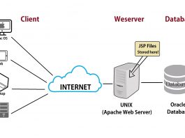 Web server là gì? Hiểu rõ về web server