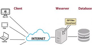Web server là gì? Hiểu rõ về web server