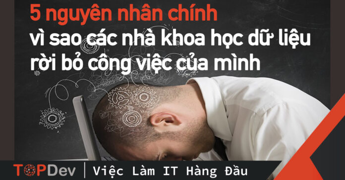 5 nguyên nhân chính vì sao các nhà khoa học dữ liệu rời bỏ công việc của mình