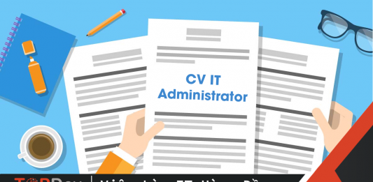 cv it administrator