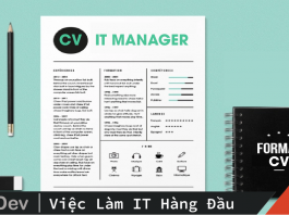 CV IT Manager