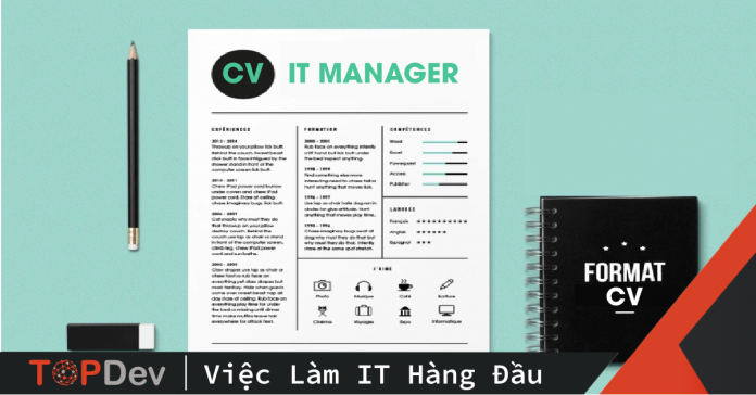 CV IT Manager