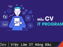 IT Programmer CV