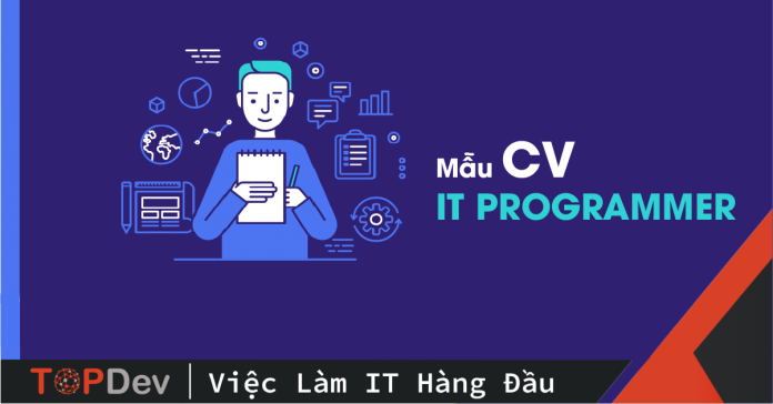 IT Programmer CV