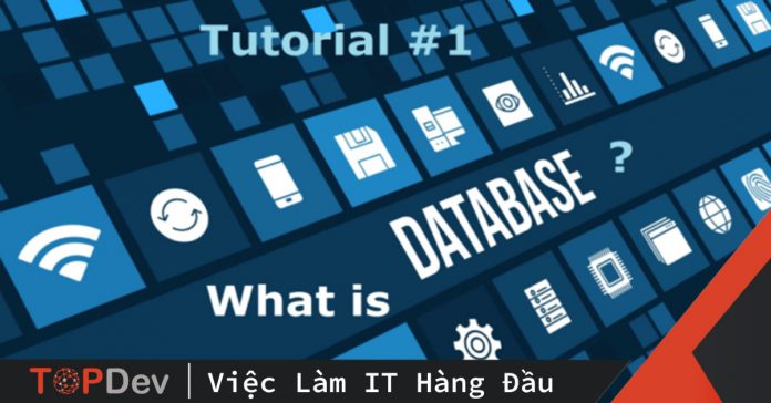 Database là gì? Các kiểu Database phổ biến và ứng dụng