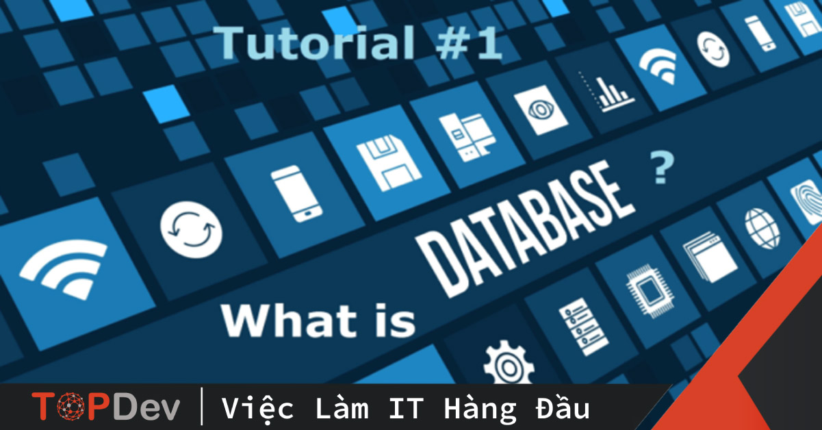 Database là gì và chức năng của nó là gì?