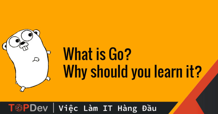 Golang là gì và tại sao bạn nên học Go?
