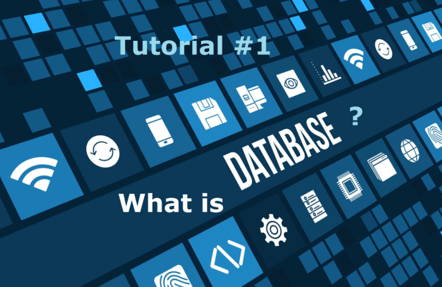 What are databases?  Common Database Types and Applications