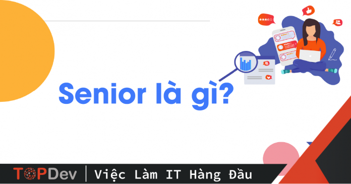 senior là gì