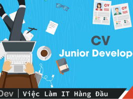 CV Junior Developer