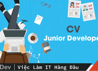 CV Junior Developer