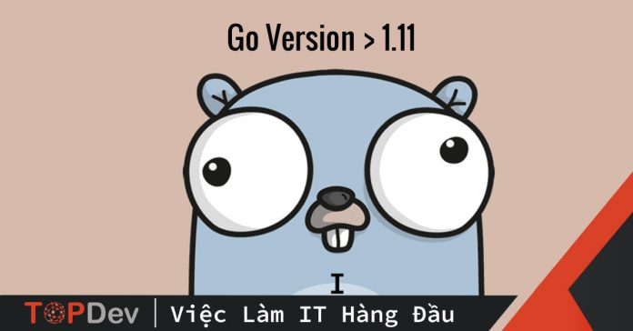 Cách Sử Dụng Go Modules