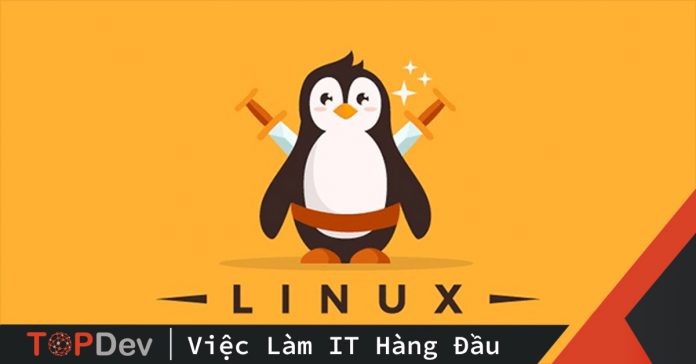 Giải mã bí ẩn 