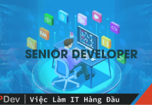 Senior Developer
