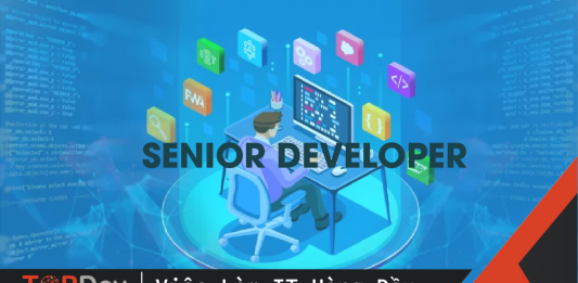 Senior Developer