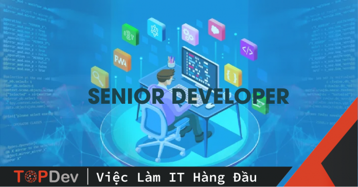 Senior Developer