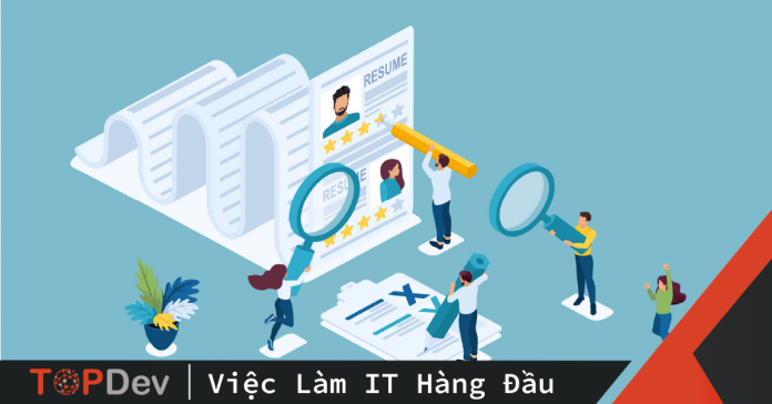 CV IT Developer