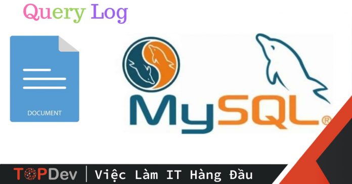 Log MySQL Query