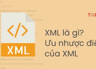 XML là gì? Ưu nhược điểm của XML