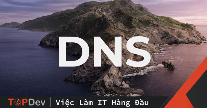 DNS là gì ? tại sao chúng ta lại bị nhà mạng chặn khi vào web không lành mạnh.
