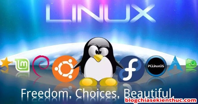 Sự Khác Biệt Giữa Windows Và Linux – Cuộc Chiến Khốc Liệt | Topdev