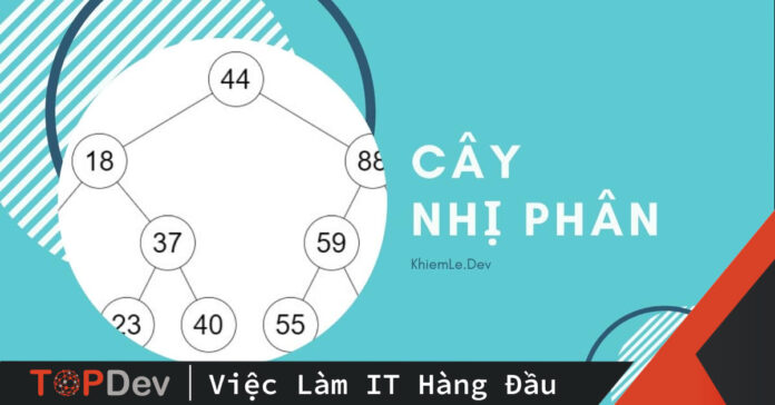 Cây nhị phân trong C++