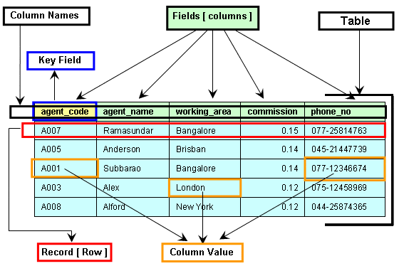 Các thành phần chính của Database SQL