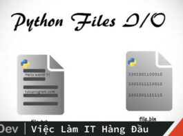File I/O trong Python
