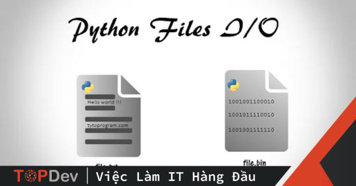File I/O trong Python