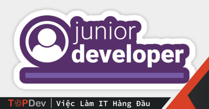 junior developer là gì