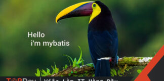 MyBatis – Chim nhỏ nhưng làm được lâu!