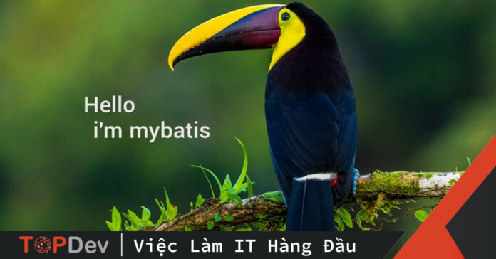 MyBatis – Chim nhỏ nhưng làm được lâu!