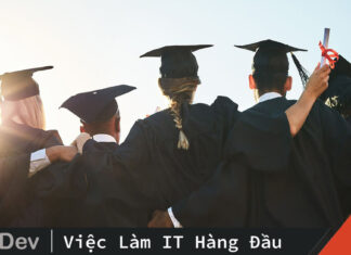 việc làm cho sinh viên CNTT mới ra trường