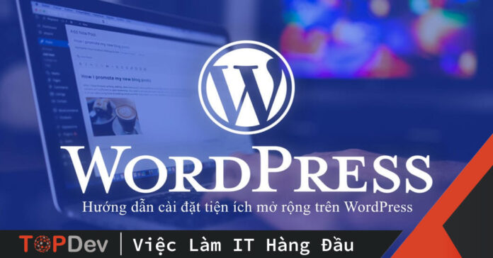 cài đặt plugin