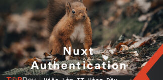nuxt authentication