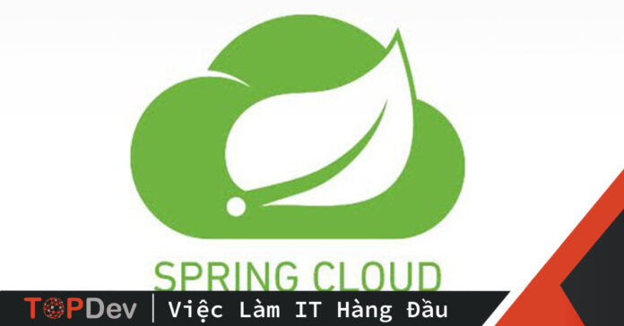 Spring Cloud Config Server