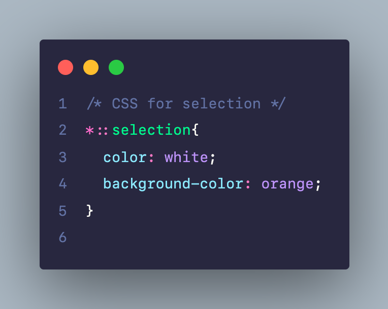 CSS cho selection