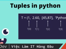 Tuple trong lập trình Python. Những điều cần biết