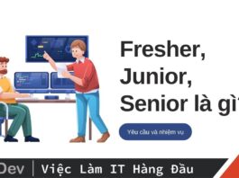 Fresher Junior Senior là gì?
