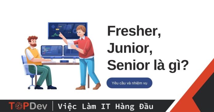 Fresher Junior Senior là gì?