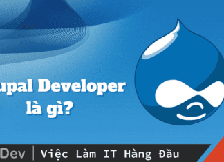 Drupal Developer là gì