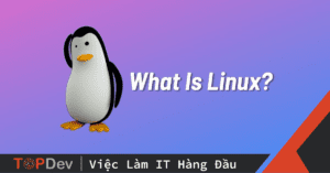 Linux là gì? Tại sao lập trình viên nên biết cách sử dụng Linux