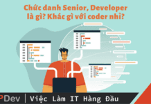 Chức danh Senior, Developer là gì? Khác gì với coder nhỉ!