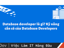 Database developer là gì? Kỹ năng cần có của Database Developers