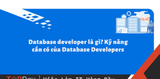 Database developer là gì? Kỹ năng cần có của Database Developers