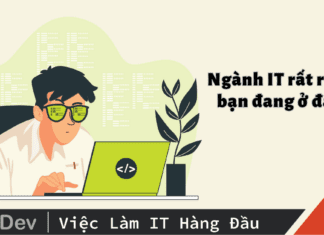 Ngành IT rất rộng, bạn đang ở đâu?