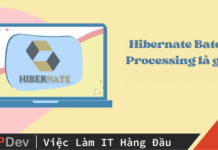 Hibernate Batch Processing là gì? Batch Processing trong Hibernate
