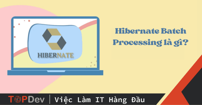 Hibernate Batch Processing là gì? Batch Processing trong Hibernate