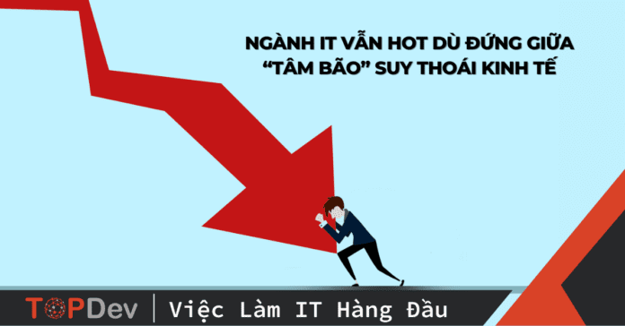 Ngành IT vẫn HOT dù đứng giữa “tâm bão” suy thoái kinh tế